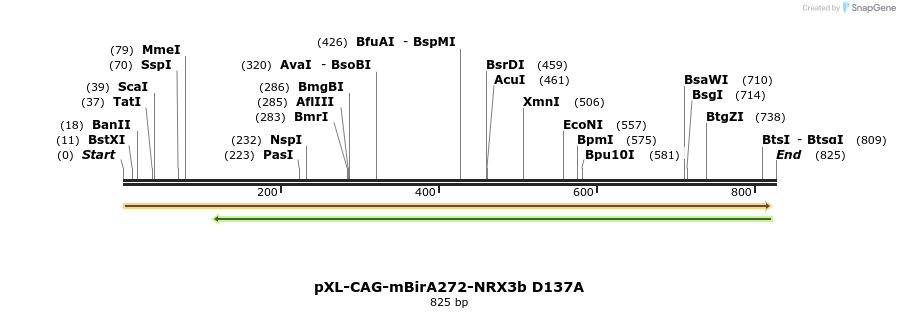 62188_map