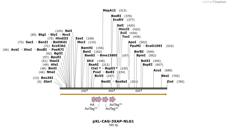 62190_map