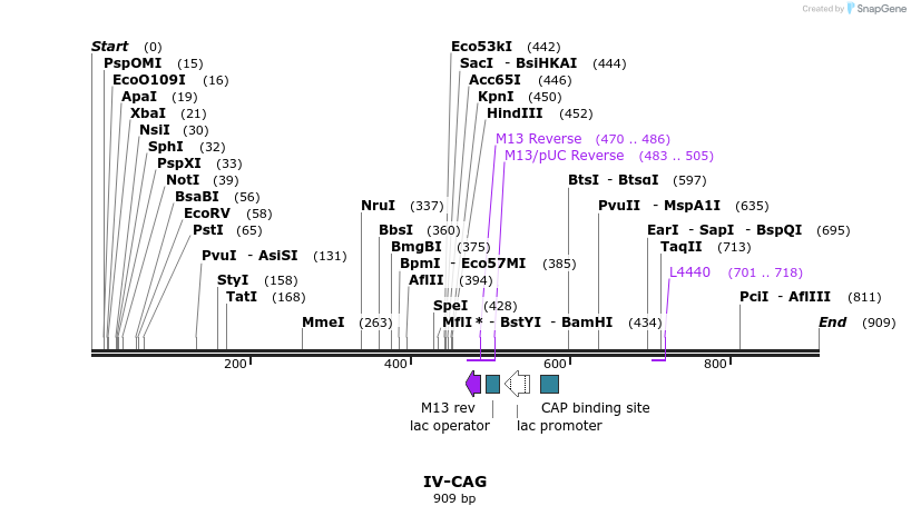 62201_map