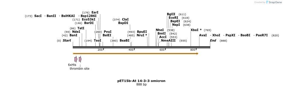 62204_map