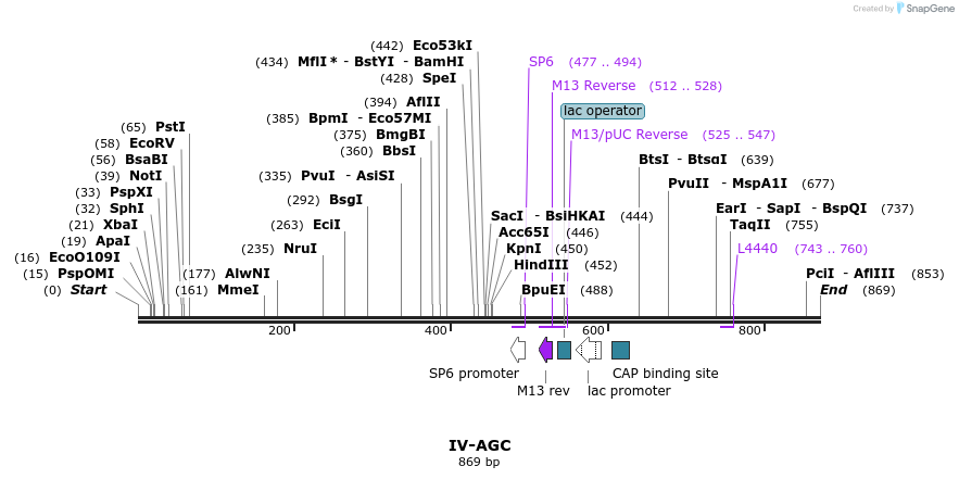62211_map
