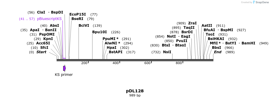 62235_map