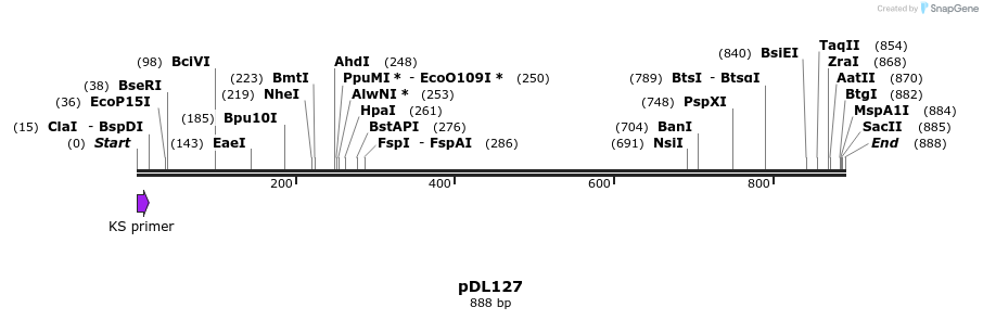 62242_map