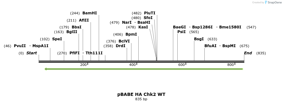 62247_map