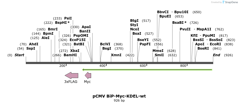 62251_map