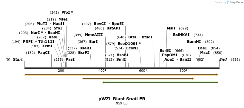 62254_map