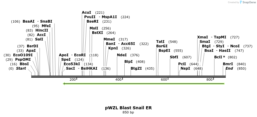 62255_map