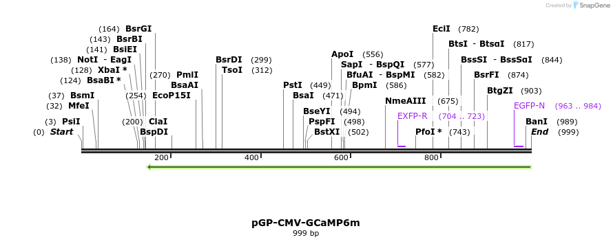 62261_map