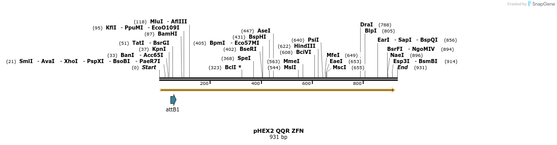 62270_map