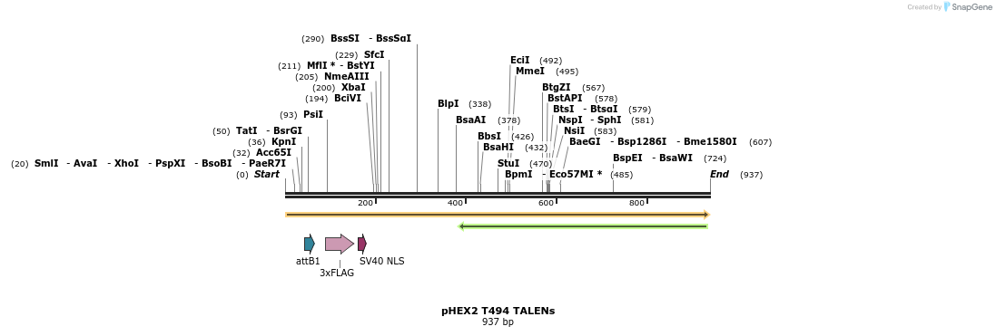 62271_map