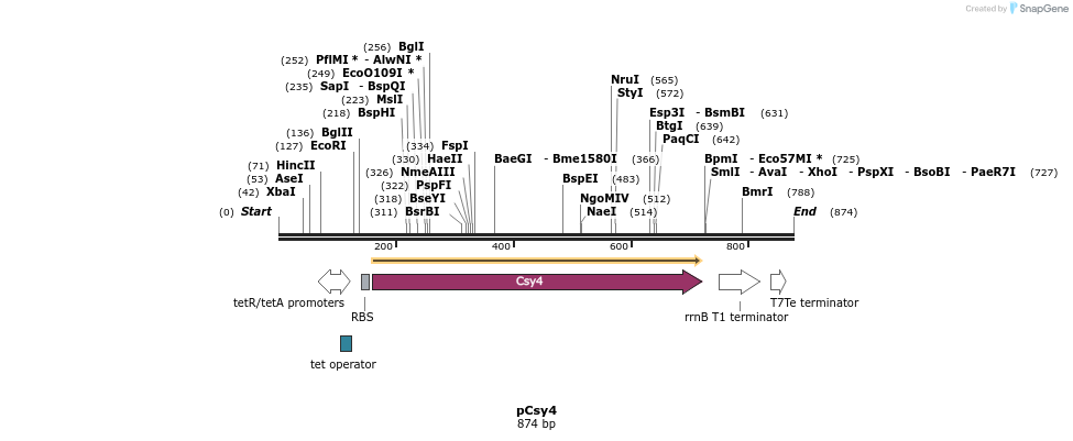 62280_map