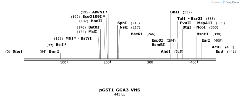 62284_map