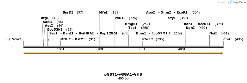 62285_map