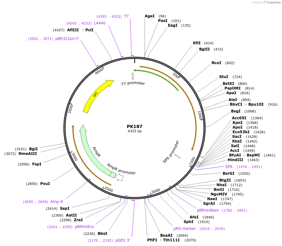 62291_map