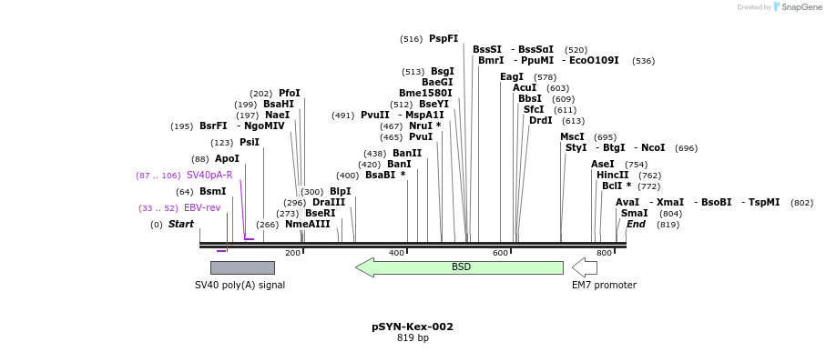 62299_map