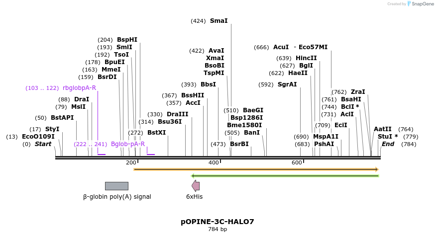 62304_map