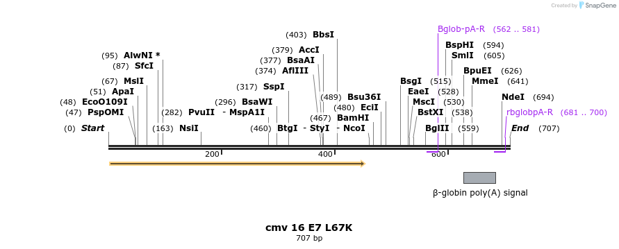 62310_map