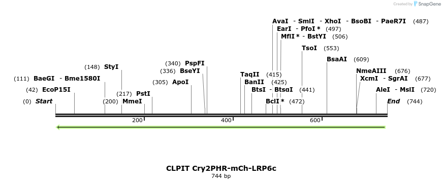 62326_map