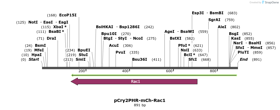 62327_map