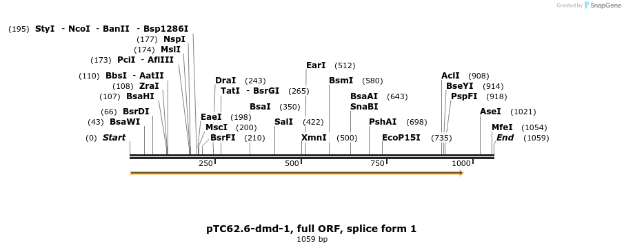 62338_map