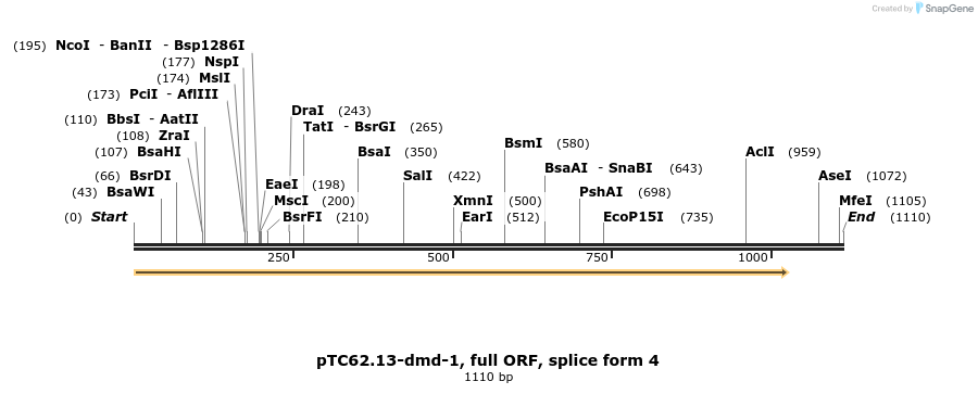 62341_map
