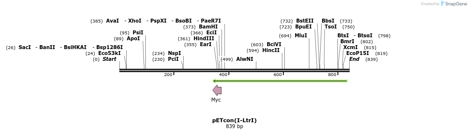 62347_map