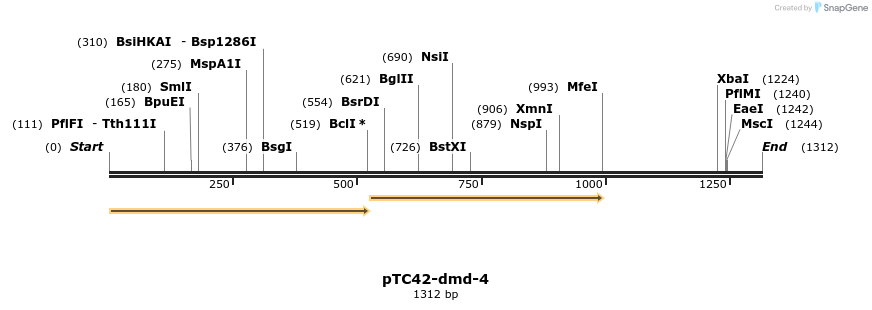 62360_map