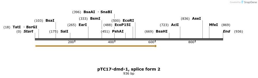 62366_map