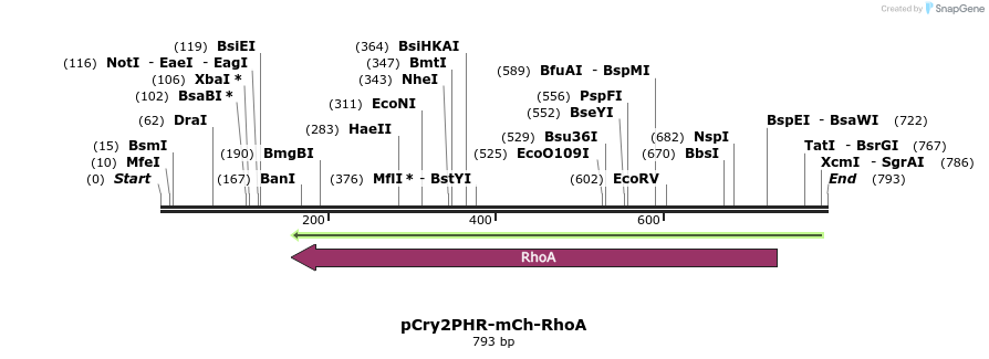 62369_map