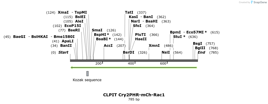 62370_map