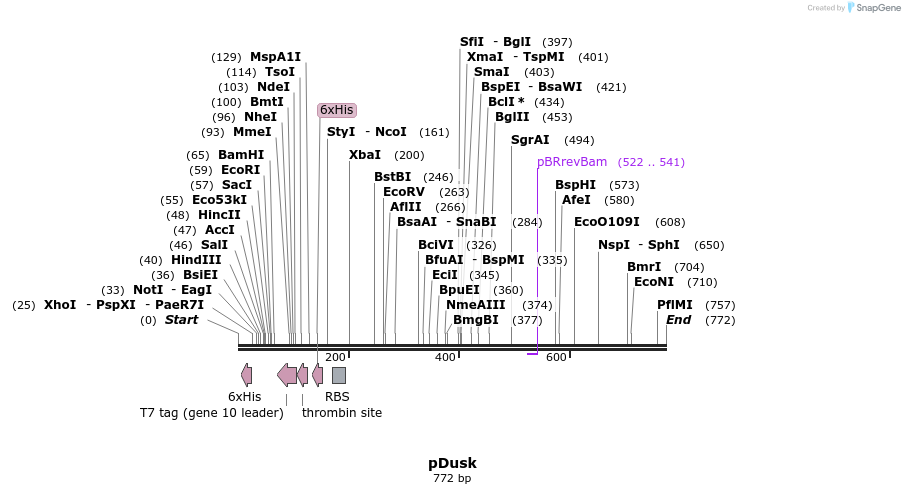 62378_map