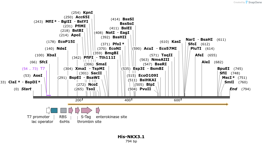 62386_map