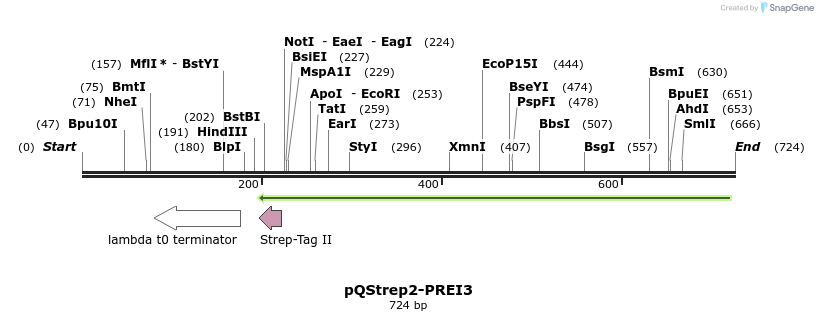 62388_map