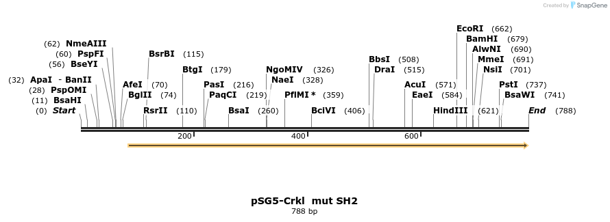 62391_map