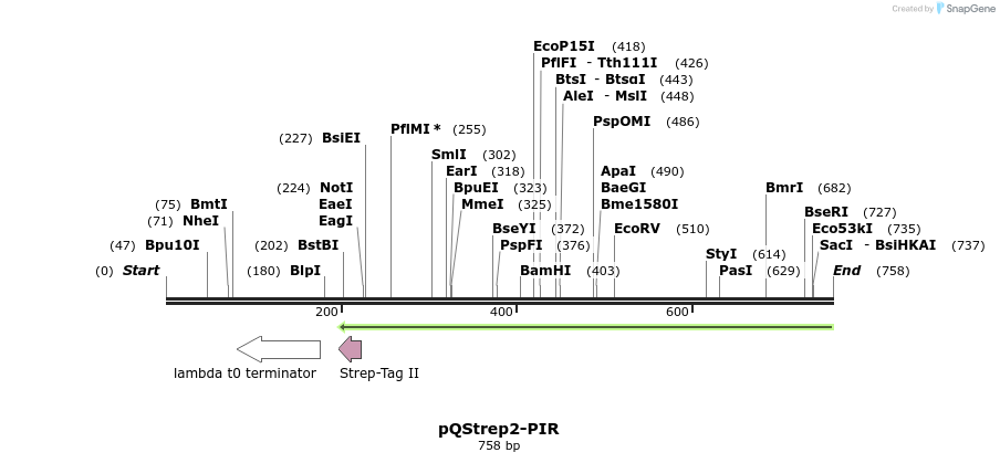 62392_map