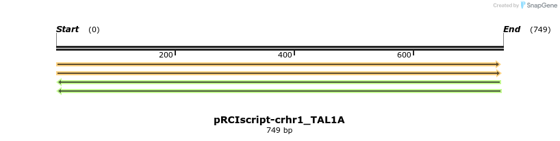 62402_map