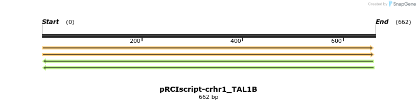 62403_map