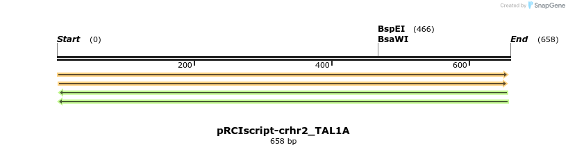 62404_map