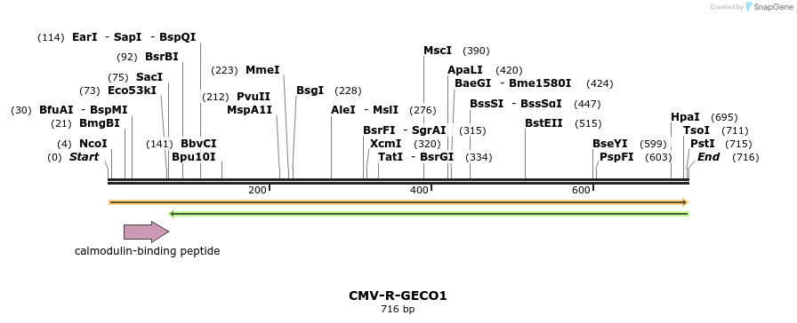 62421_map