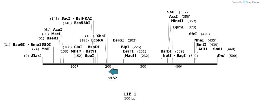 62422_map