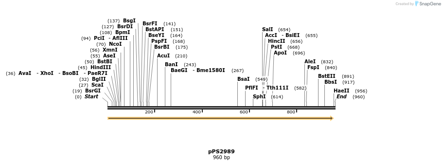 62426_map