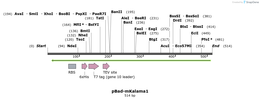 62430_map