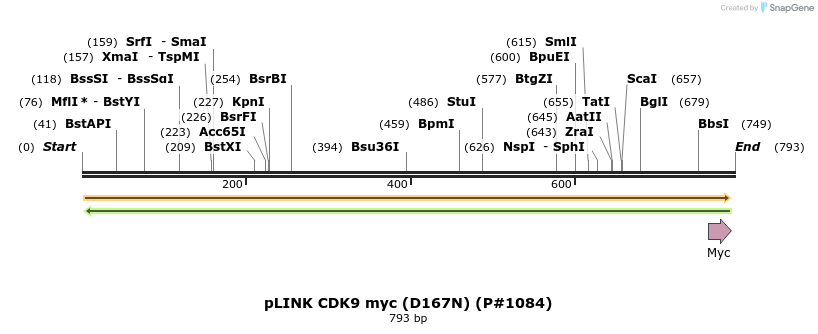 62434_map