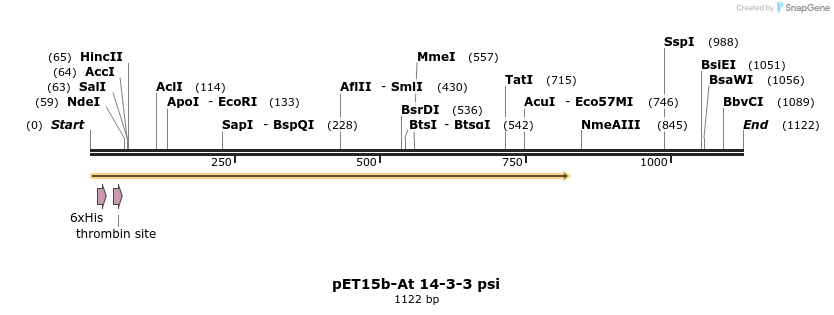 62435_map