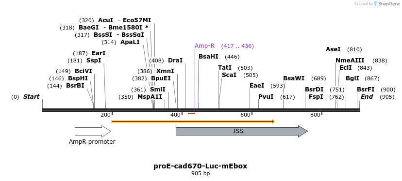 62438_map