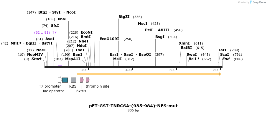 62439_map
