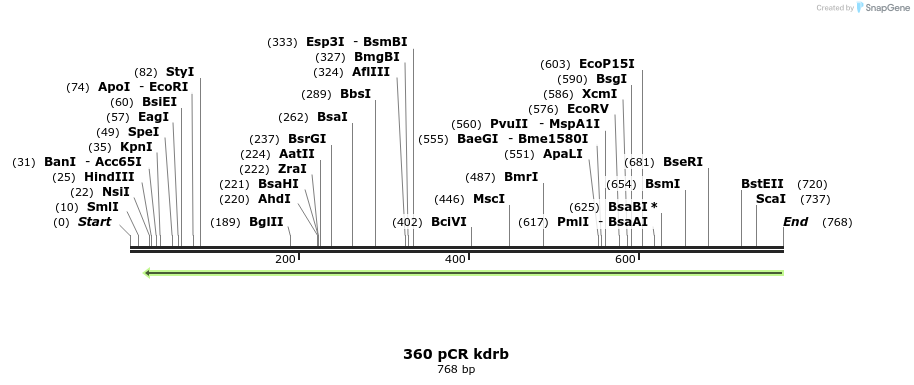 62442_map