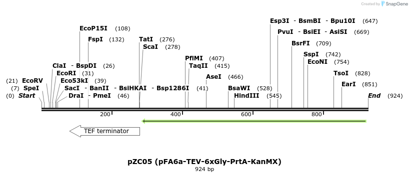 62444_map