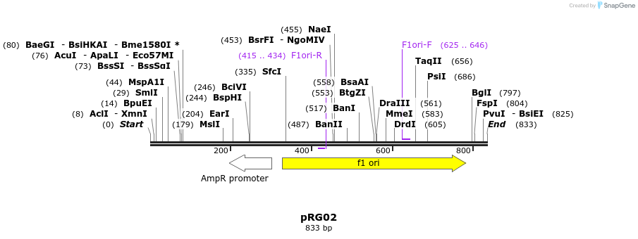 62448_map
