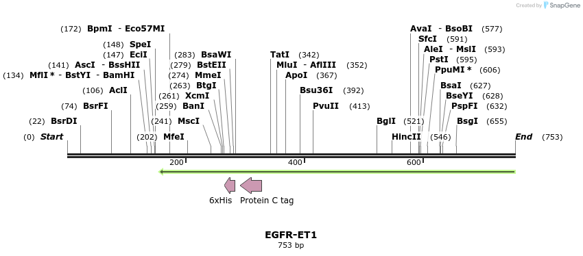 62455_map
